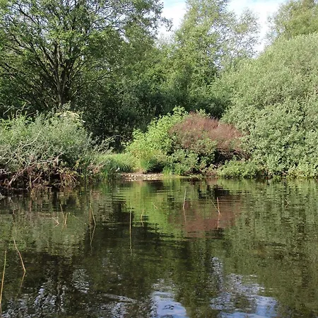 Дом отдыха 6 Person In Ansager-by Traum *