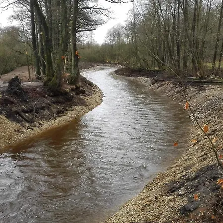 Дом отдыха 6 Person In Ansager-by Traum *